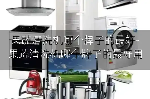 果蔬清洗机哪个牌子的最好-果蔬清洗机哪个牌子的最好用