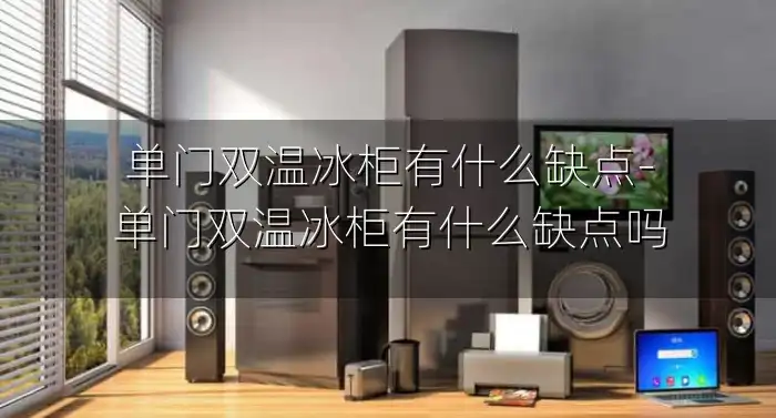 单门双温冰柜有什么缺点-单门双温冰柜有什么缺点吗