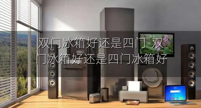 双门冰箱好还是四门-双门冰箱好还是四门冰箱好
