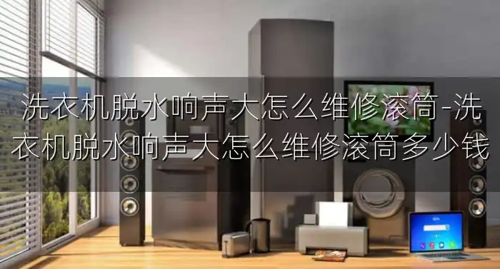 洗衣机脱水响声大怎么维修滚筒-洗衣机脱水响声大怎么维修滚筒多少钱