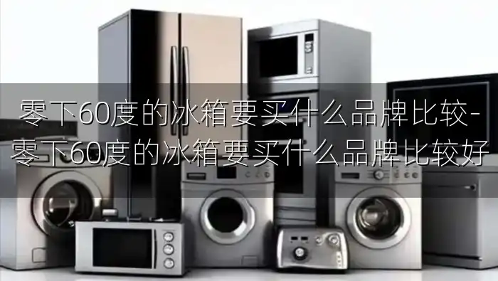 零下60度的冰箱要买什么品牌比较-零下60度的冰箱要买什么品牌比较好
