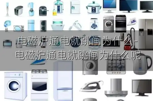 电磁炉通电就跳闸为什么-电磁炉通电就跳闸为什么呢