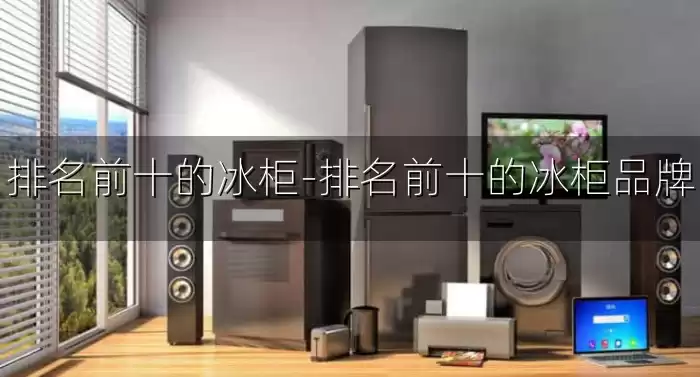 排名前十的冰柜-排名前十的冰柜品牌