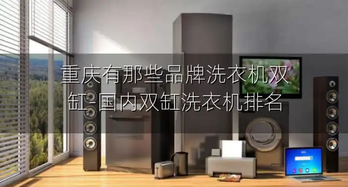 重庆有那些品牌洗衣机双缸-国内双缸洗衣机排名