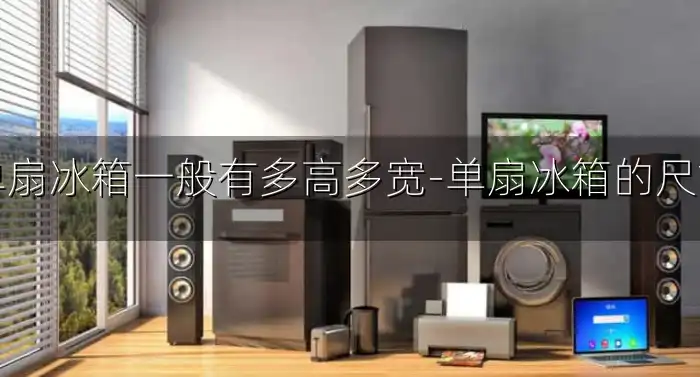 单扇冰箱一般有多高多宽-单扇冰箱的尺寸