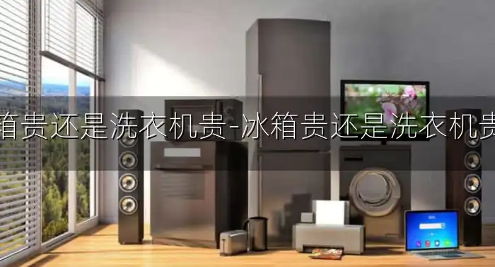 冰箱贵还是洗衣机贵-冰箱贵还是洗衣机贵呢