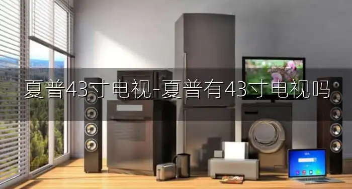 夏普43寸电视-夏普有43寸电视吗